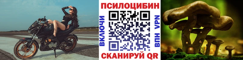 купить наркоту Тара Галлюциногенные грибы ЛСД