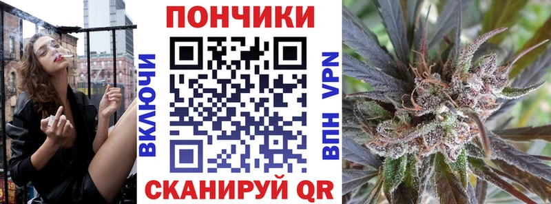 Бошки Шишки SATIVA & INDICA  где купить наркоту  Тара 